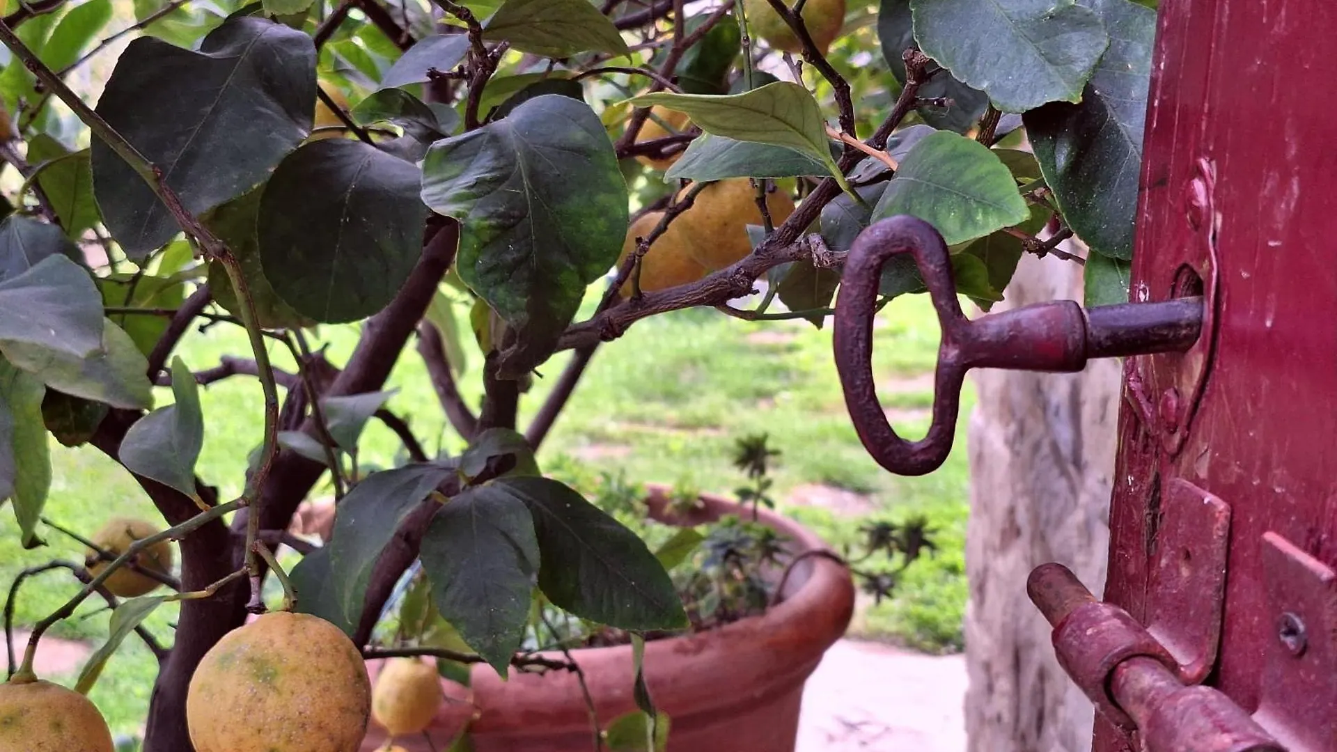 Agriturismo Campo Del Pillo Pietradura Italië