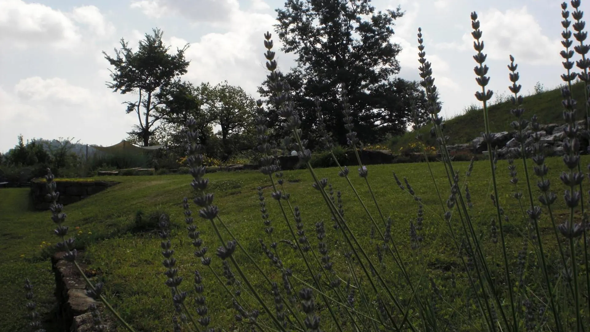 Agriturismo Campo Del Pillo Pietradura